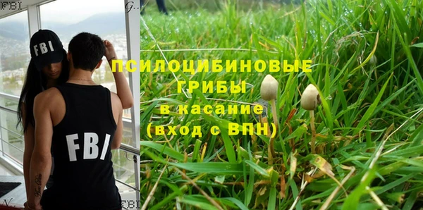 индика Кулебаки