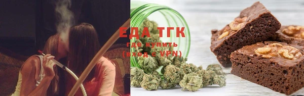 индика Кулебаки