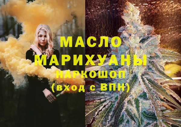 индика Кулебаки