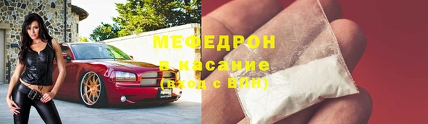 индика Кулебаки