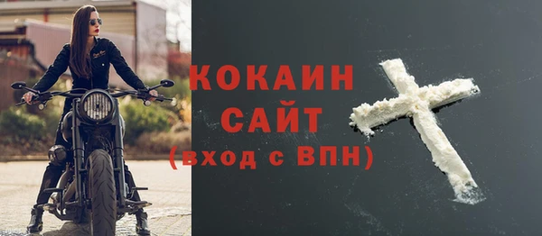 индика Кулебаки