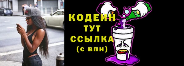 индика Кулебаки
