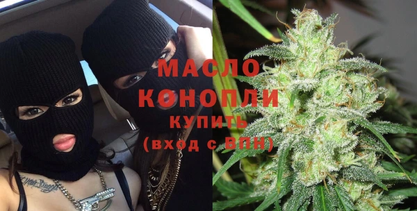индика Кулебаки