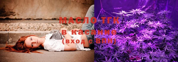 индика Кулебаки