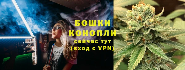 индика Кулебаки