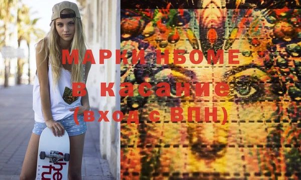 индика Кулебаки