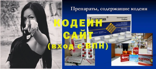 индика Кулебаки