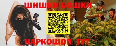 бошки Кингисепп
