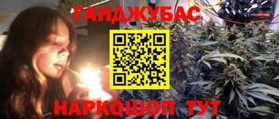 бошки Кингисепп