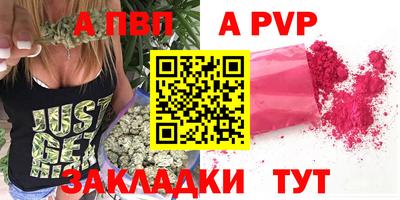 бошки Кингисепп