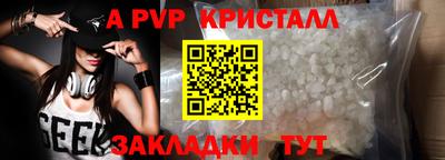 бошки Кингисепп
