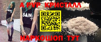 бошки Кингисепп