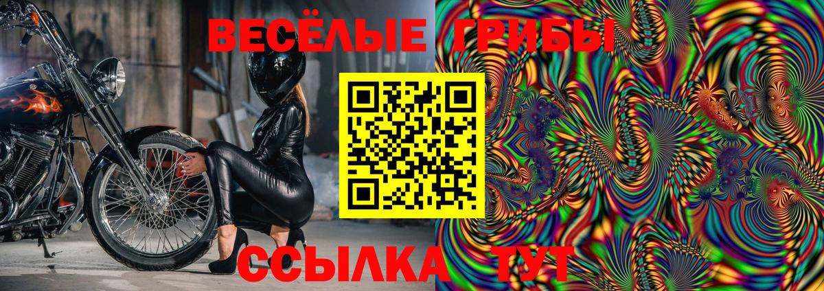 Галлюциногенные грибы Magic Shrooms  Вход с VPN  Псилоцибиновые грибы Cubensis  Самара 
